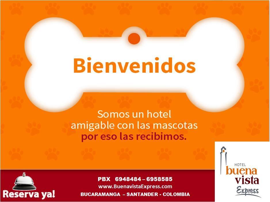Hotel Buena Vista Express Bucaramanga Exteriör bild